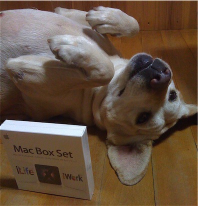 MacBox.jpg